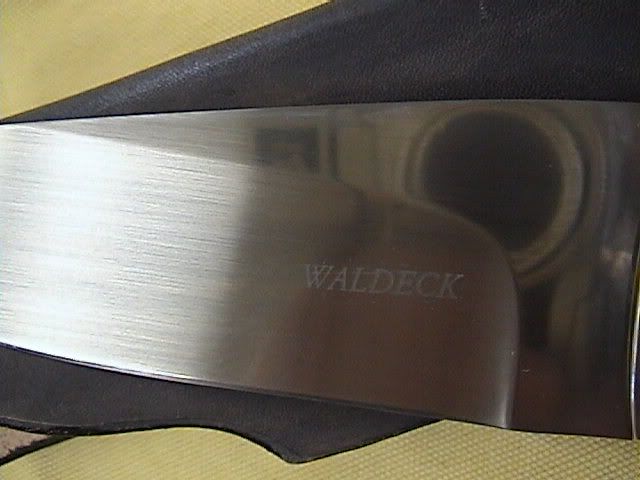 DSC00005.jpg
