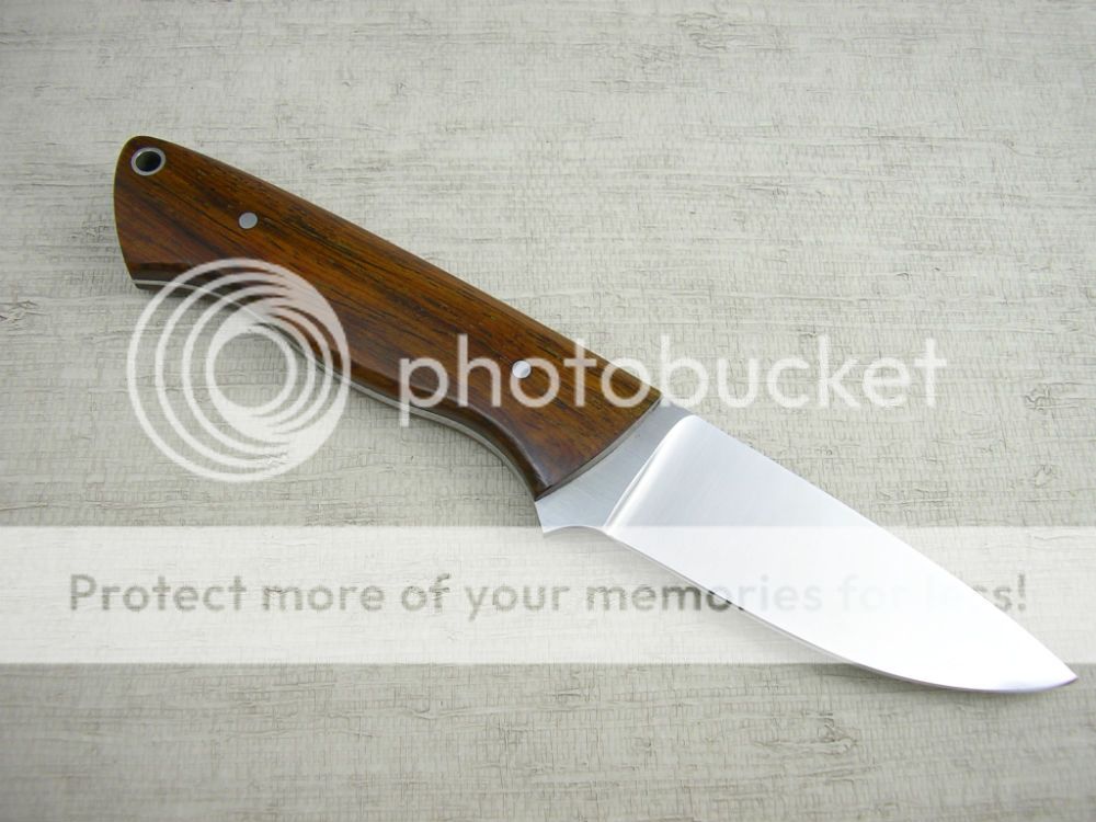 IMGP2119_zpsdcfebf9f.jpg