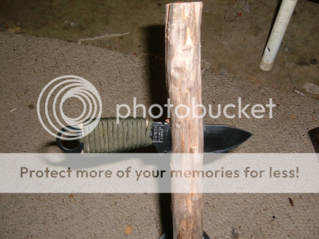 DSCF2711.jpg