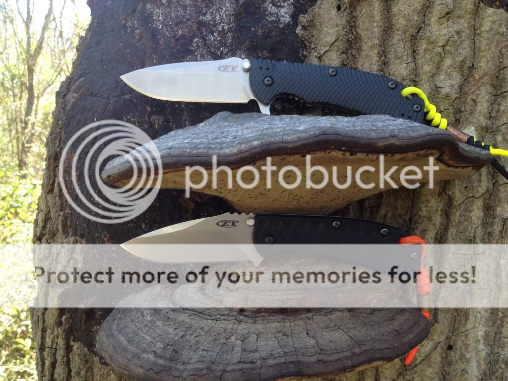 image_zps23018db7.jpg