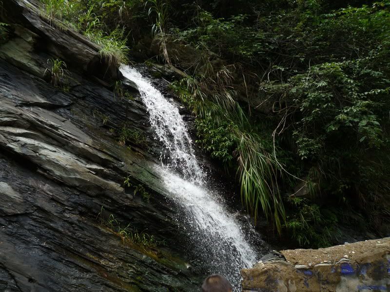 P1000923.jpg