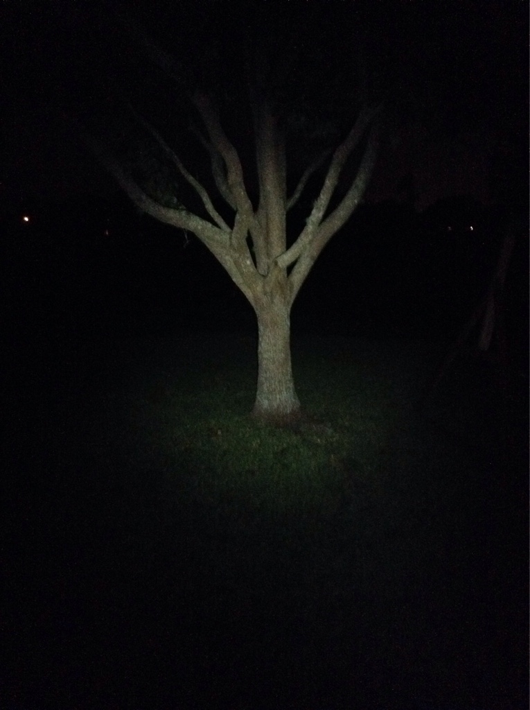 72b6d05301c784ea06608e752c448842.jpg
