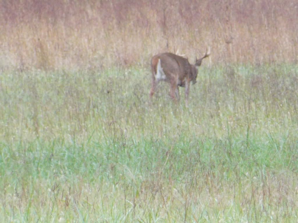 CadesCove10-7-12088.jpg