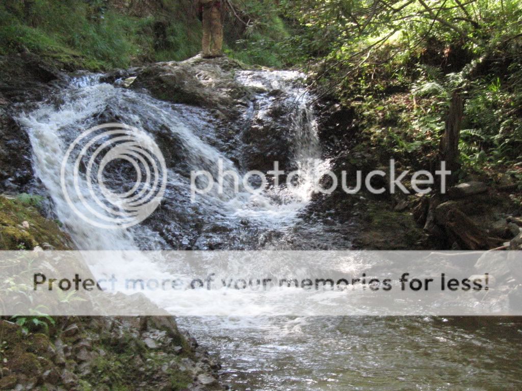 IMG_5449.jpg