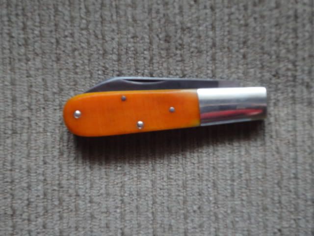 DSC01323.jpg