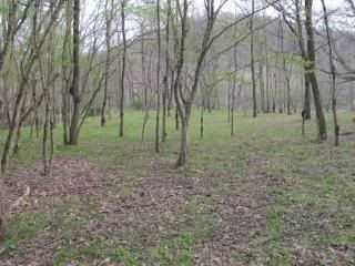 IMG_3100.jpg