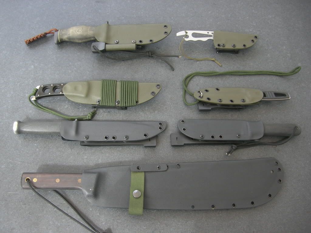 CIMG2249_1024x768.jpg