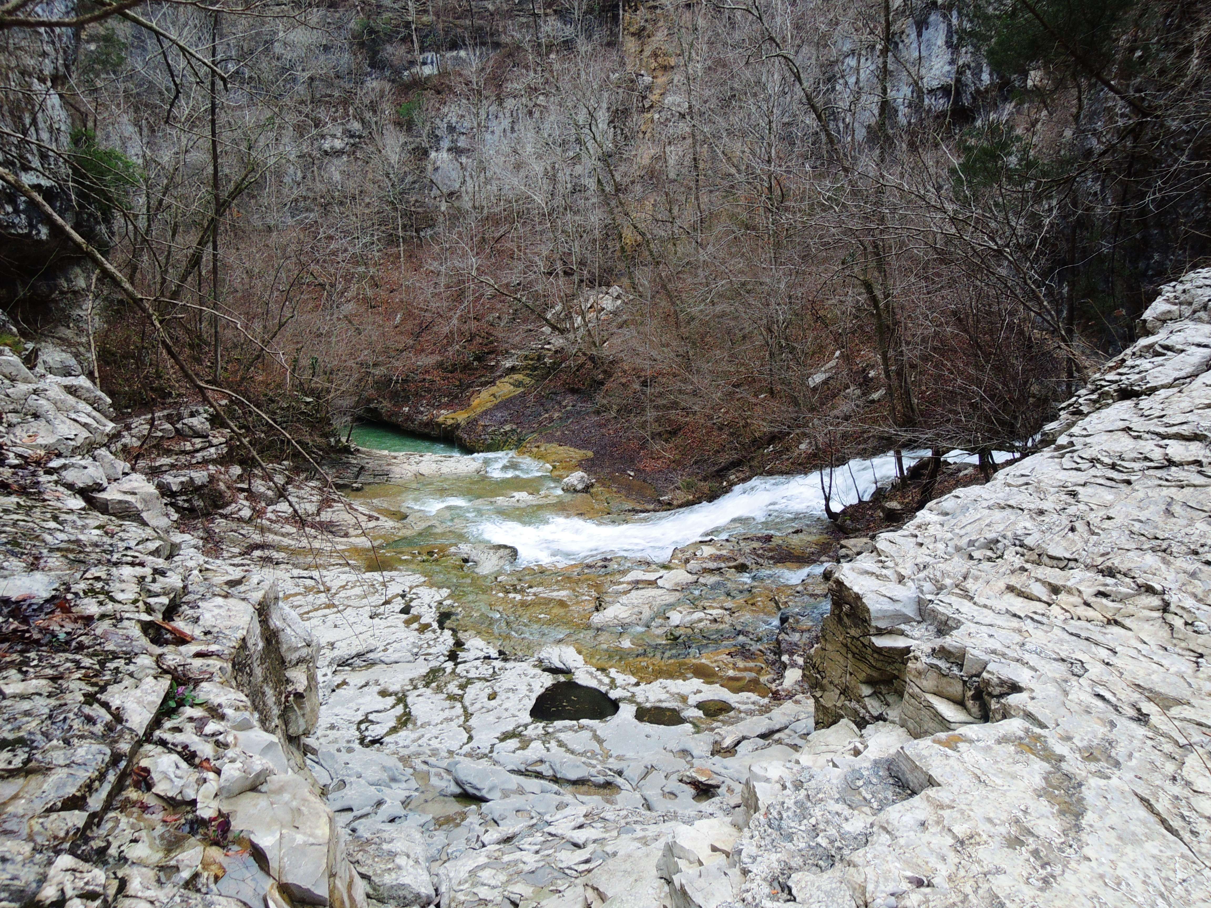 dscn5561m.jpg