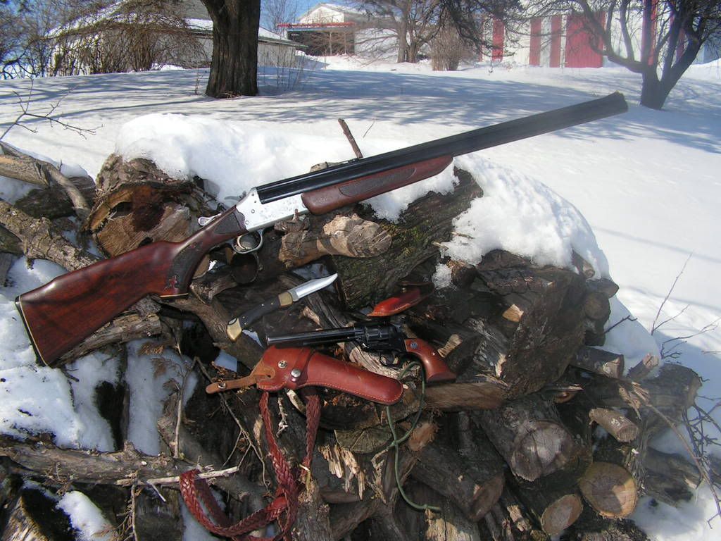 Savage24DLRugerSingleSixBuck110Wint.jpg