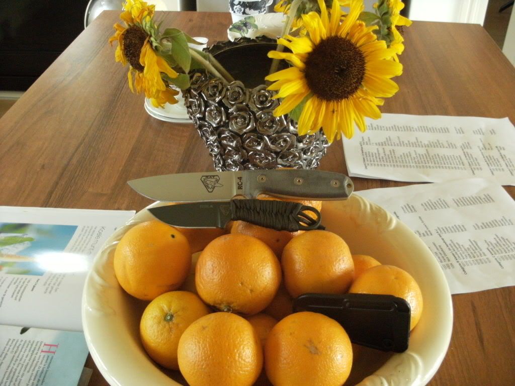 DSCF0524.jpg