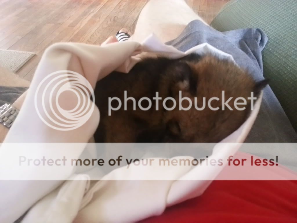 20140410_120203_LLS.jpg