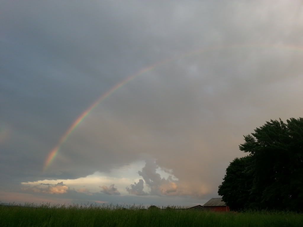 20130602_200028_zps292d4dd9.jpg