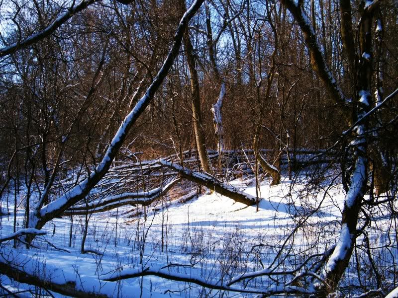 Bushcraft001-1.jpg