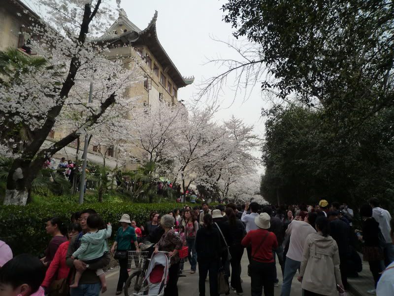 P1050188.jpg