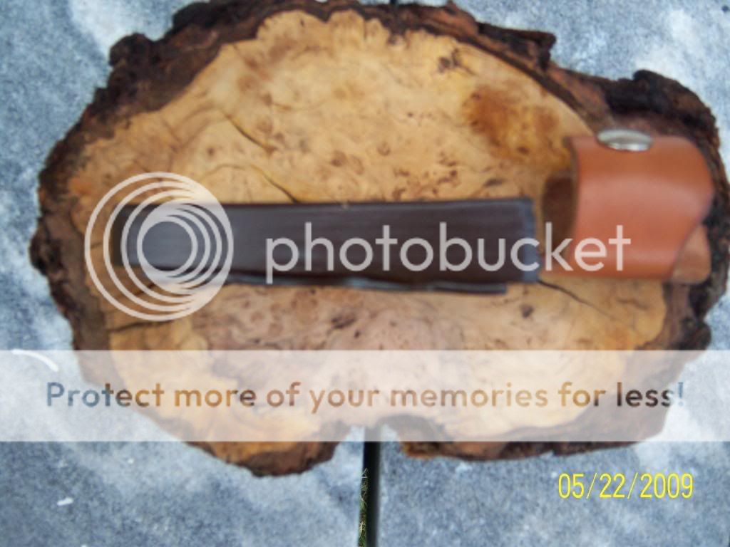 bussestuff146.jpg