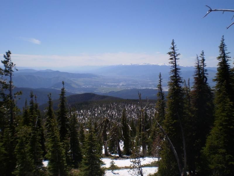 lookingatmissoula_zps50b896eb.jpg