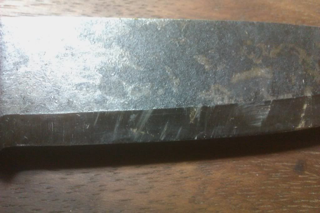 IMAG0060.jpg