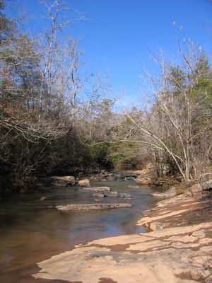 IMG_3090reduced.jpg