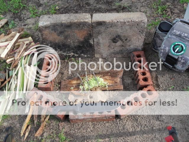 SDC11075.jpg