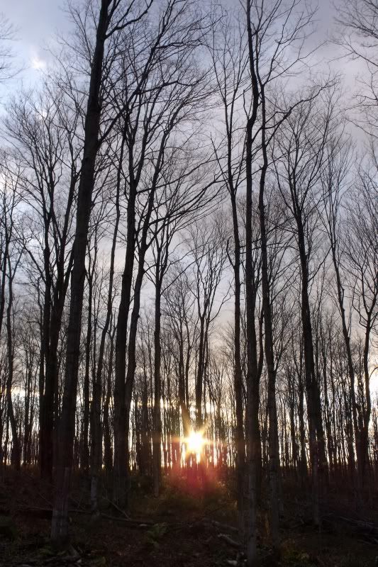 Sunsetwalk009.jpg