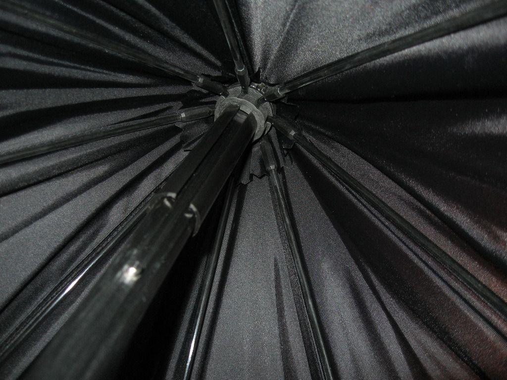 IMG_7418.jpg