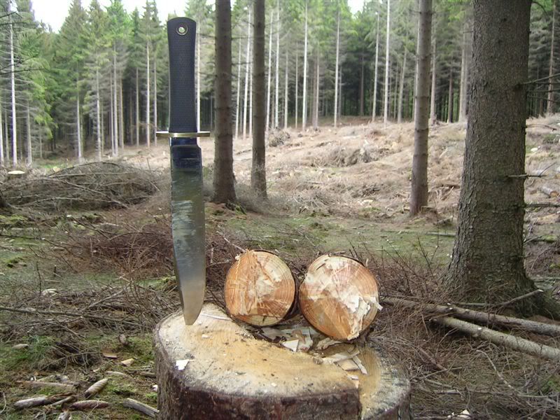 Choptesttwo10.jpg