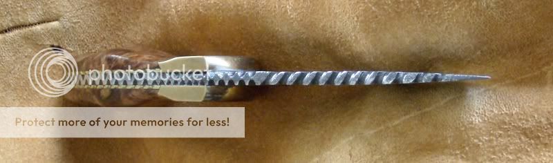 spine_tip.jpg