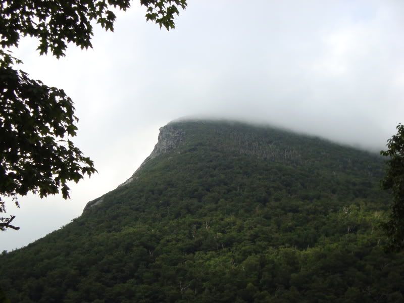 misc027.jpg