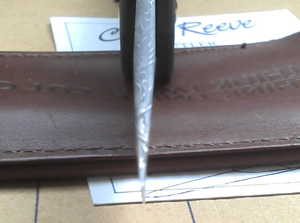 2011-03-09_13-45-01_482.jpg
