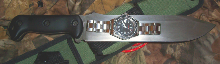 0009ccqx