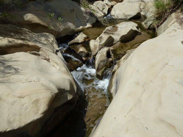P1000214.jpg