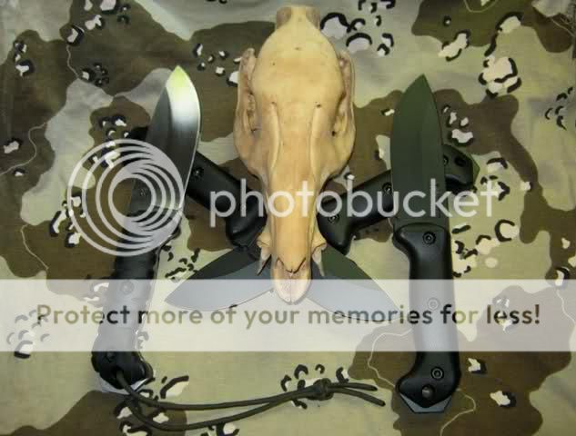21_zps4ce9ef01.jpg