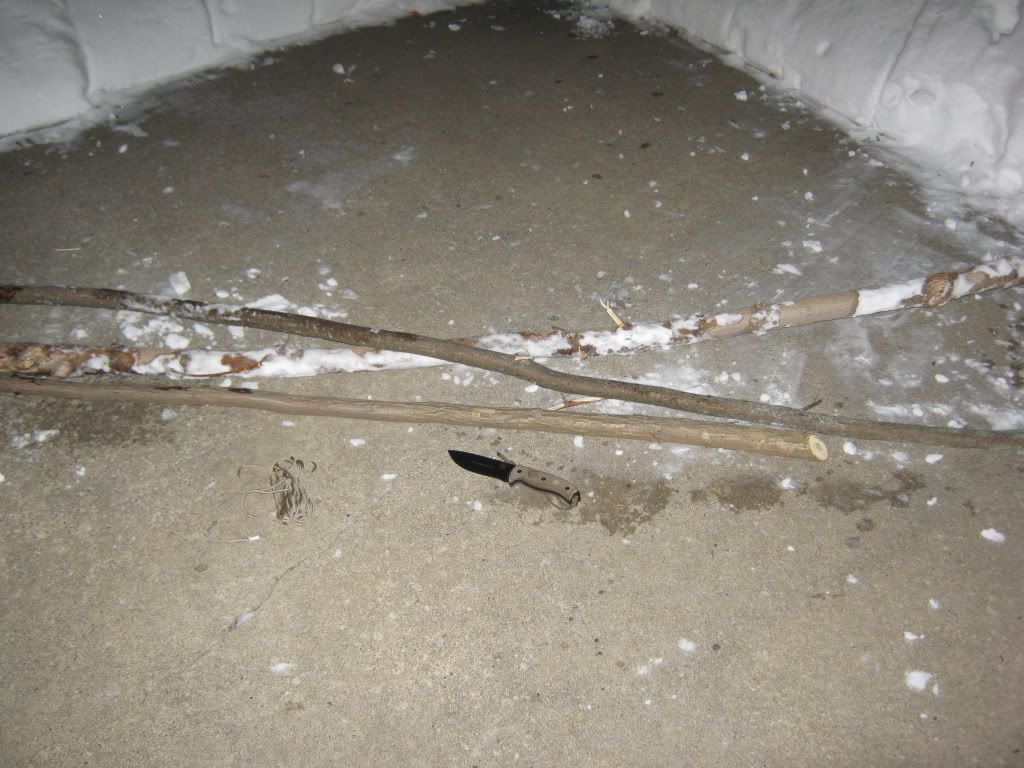 jan2320011002.jpg