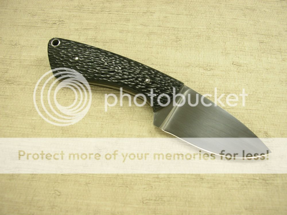 IMGP2195_zpsbd3dadcb.jpg