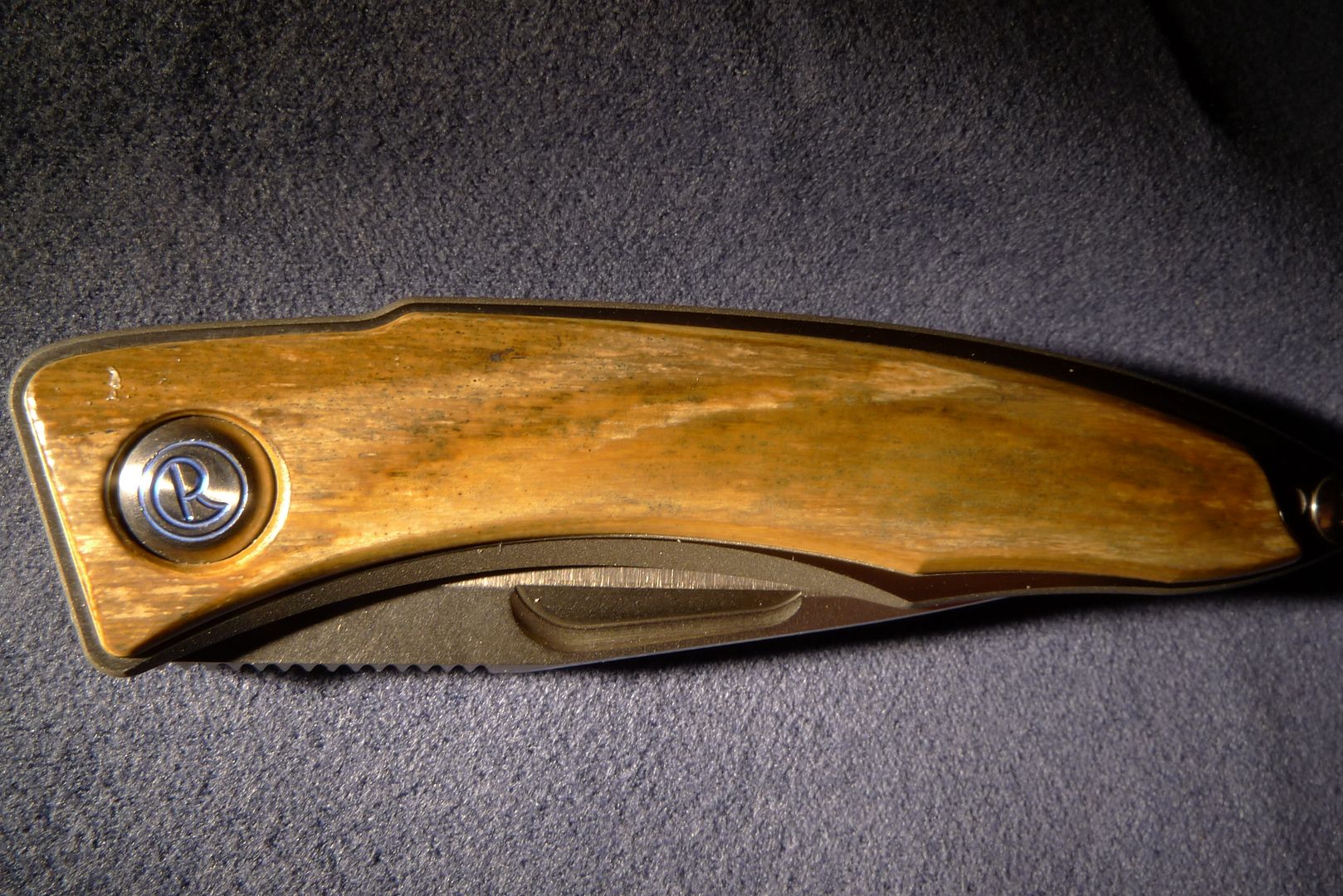 P1190445_zps1d9411dc.jpg