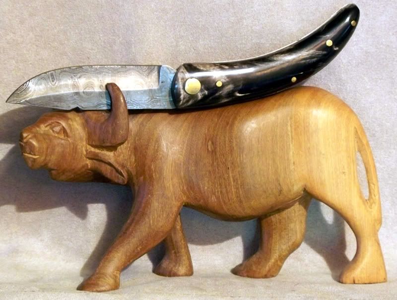 damascbull.jpg