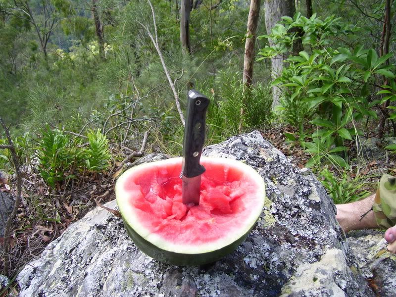 watermelon010.jpg