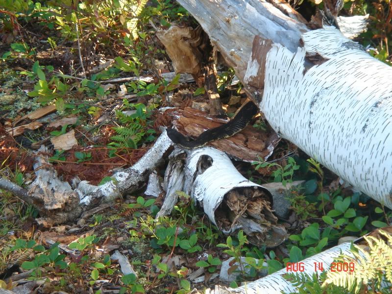 BFT090814005.jpg