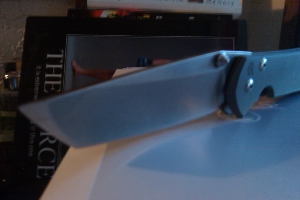 IMAG0085.jpg