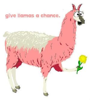 llamas-1.jpg