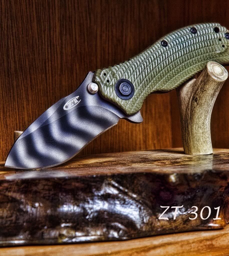 ZT03017.jpg