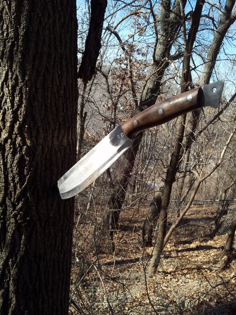 20120212_144422.jpg