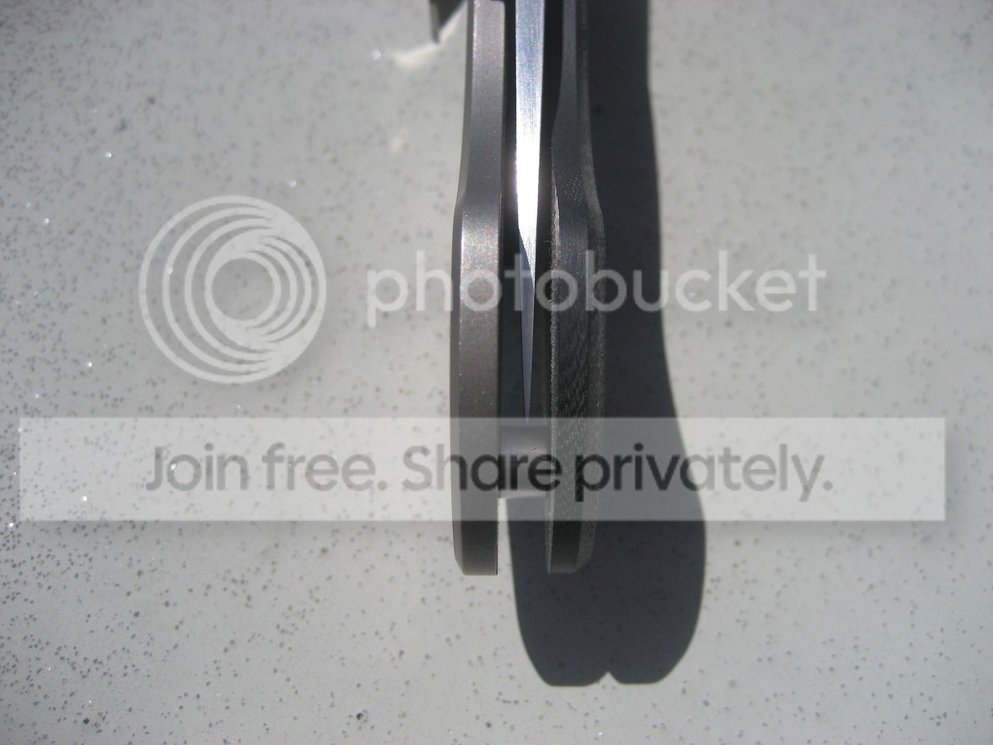 IMG_5741.jpg