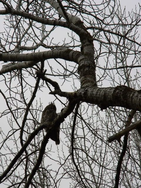 april10075.jpg