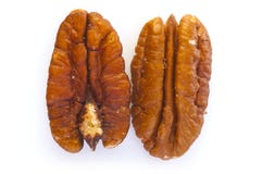 two-pecan-nuts-brown-pecans-isolated-white-background-39971272.jpg