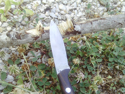 IMAG0176.JPG