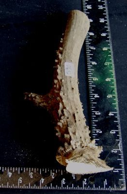 590a.jpg