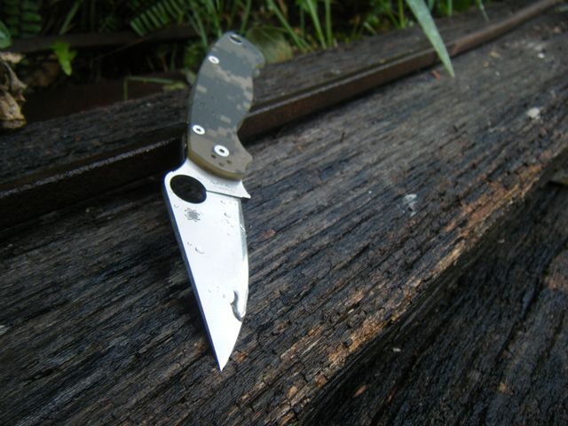 DSCF2321.jpg