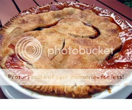 Rhubarb_pie.jpg