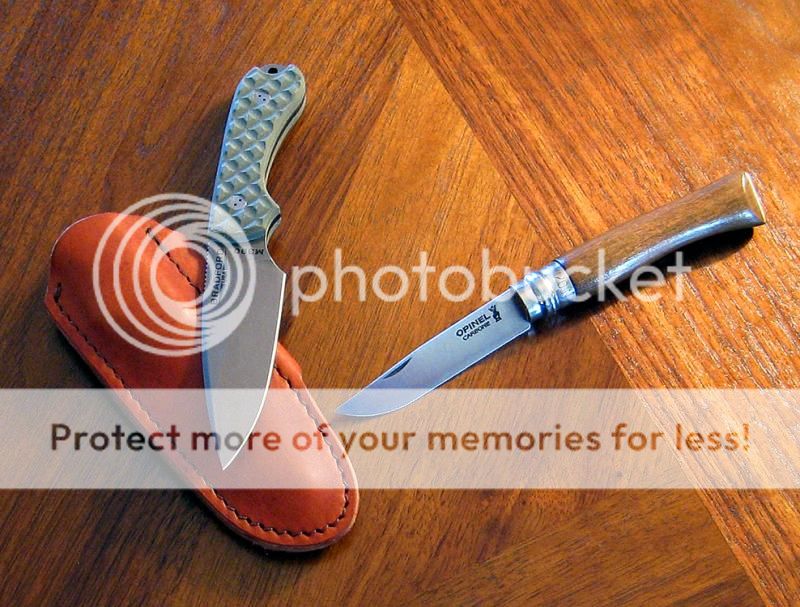 IMG_2499copy_zps2c9575c3.jpg